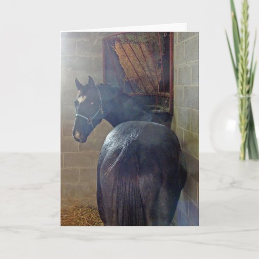 Was hat Ya Gewollt? Karte (Vorderseite)