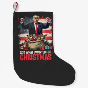 Was ich zu Weihnachten gewollt habe, got Trump San Kleiner Weihnachtsstrumpf