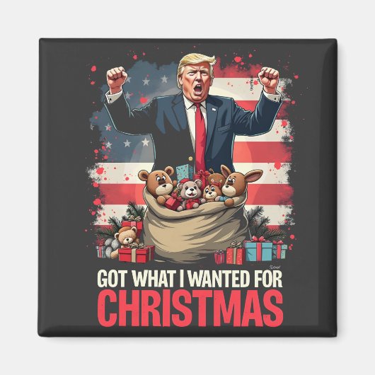Was ich zu Weihnachten gewollt habe, got Trump San Magnet (Vorne)