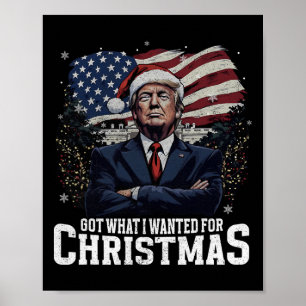 Was ich zu Weihnachten Gewollt habe, hat Trump 202 Poster