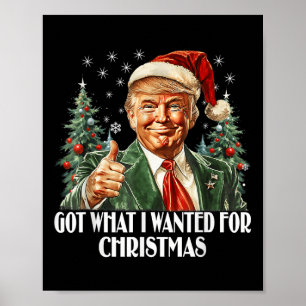 Was ich zu Weihnachten Gewollt habe - Trump-Weihna Poster