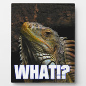 Was? Iguana Fotoplatte (Vorderseite)