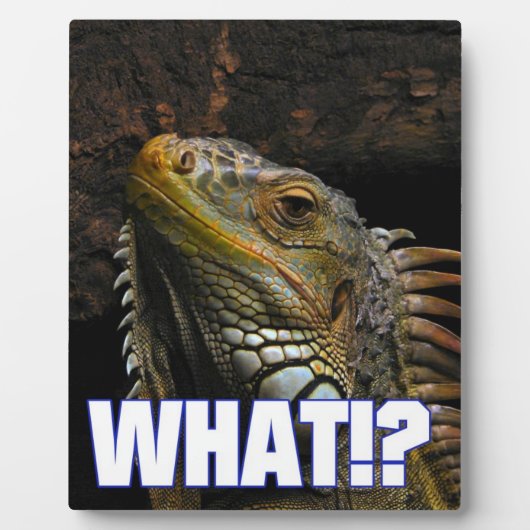 Was? Iguana Fotoplatte (Vorderseite)