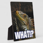 Was? Iguana Fotoplatte (Seite)
