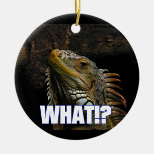 Was? Iguana Keramik Ornament