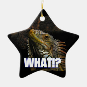 Was? Iguana Keramikornament