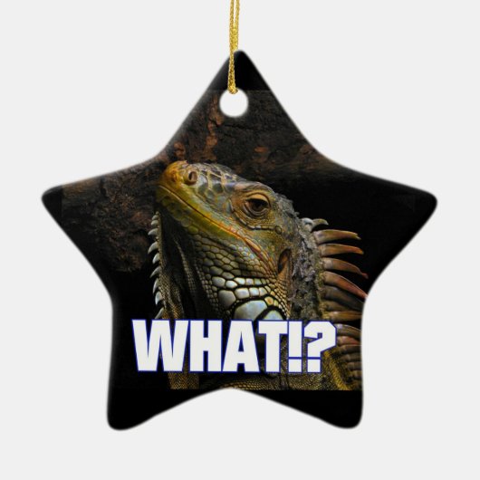 Was? Iguana Keramikornament (Vorne)