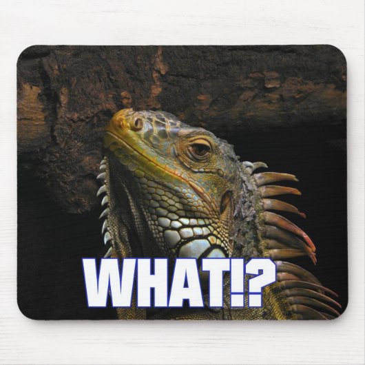 Was? Iguana Mousepad (Vorne)