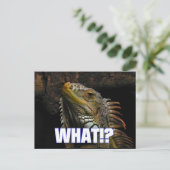 Was? Iguana Postkarte (Stehend Vorderseite)