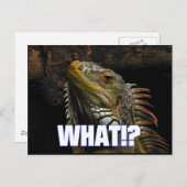 Was? Iguana Postkarte (Vorne/Hinten)