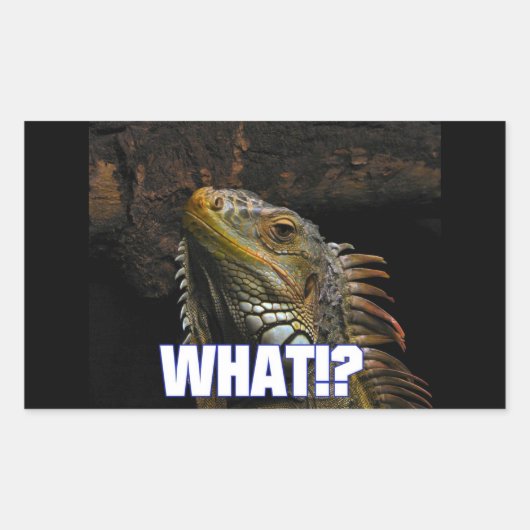 Was? Iguana Rechteckiger Aufkleber (Vorderseite)