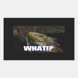 Was? Iguana Rechteckiger Aufkleber