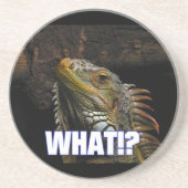 Was? Iguana Sandstein Untersetzer (Vorne)