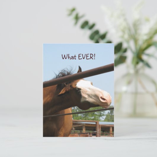 Was immer! postkarte (Stehend Vorderseite)