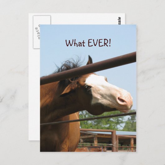 Was immer! postkarte (Vorne/Hinten)