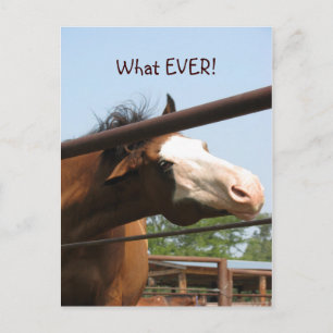 Was immer! postkarte