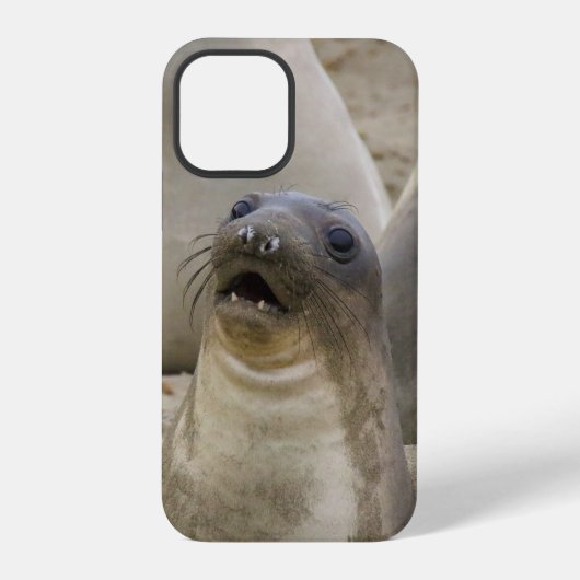 WAS??? iPhone HÜLLE (Rückseite)