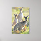 WAS IST AUF! 32 x 48 Leinwanddruck (Vorderseite)