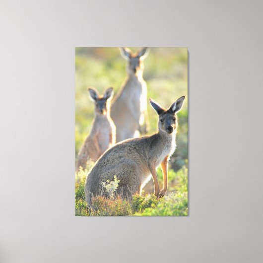 WAS IST AUF! 32 x 48 Leinwanddruck (Vorderseite)