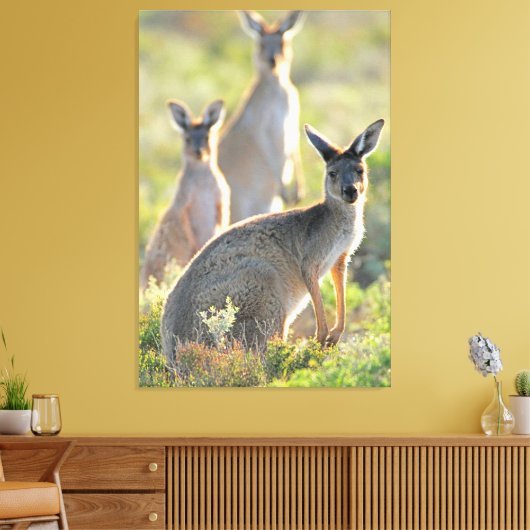 WAS IST AUF! 32 x 48 Leinwanddruck (Insitu (Wohnzimmer))