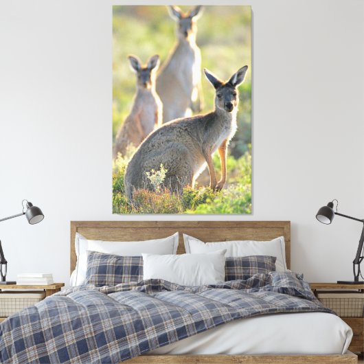 WAS IST AUF! 32 x 48 Leinwanddruck (Insitu (Schlafzimmer))