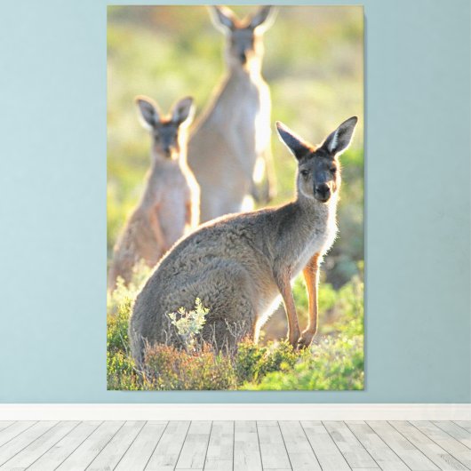 WAS IST AUF! 32 x 48 Leinwanddruck (Insitu (Holzboden))