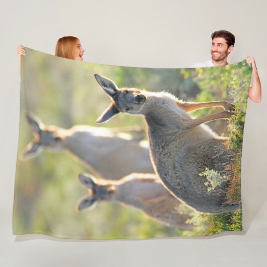 WAS IST AUF! KANGAROOS FLEECEDECKE (Beispiel)
