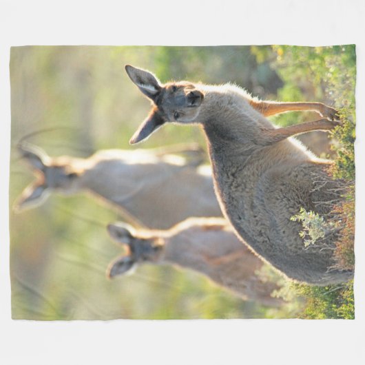 WAS IST AUF! KANGAROOS FLEECEDECKE (Vorderseite (Horizontal))