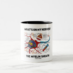Was ist auf meinen Nerven? Die myelin-Hülle Zweifarbige Tasse