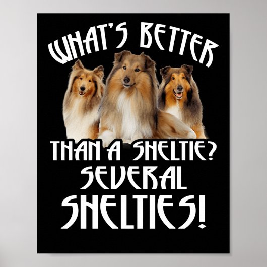 Was ist besser als ein Sheltie mehrere Shelties! Poster (Vorne)