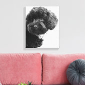 Was ist? / Black Toy Poodle in B&W Fotografy Leinwanddruck (Insitu (Wohnzimmer))