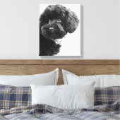 Was ist? / Black Toy Poodle in B&W Fotografy Leinwanddruck (Insitu (Schlafzimmer))