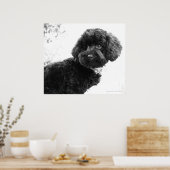 Was ist? / Black Toy Poodle in B&W Print Poster (Küche)
