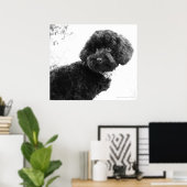 Was ist? / Black Toy Poodle in B&W Print Poster (Heimbüro)