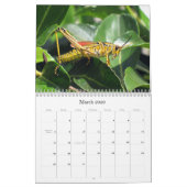 Was ist Buggin' You - Insekt Calendar Edition 2 Kalender (Mär 2026)