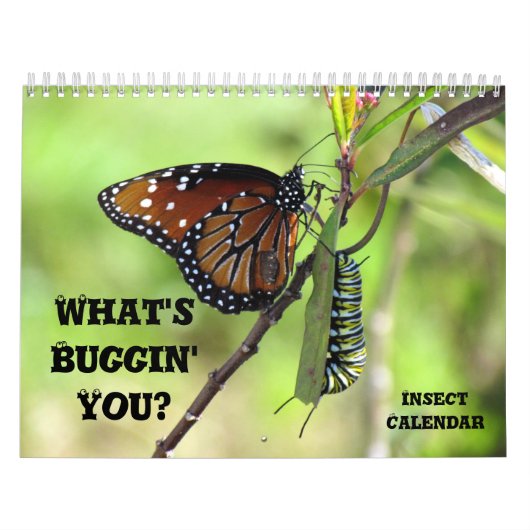 Was ist Buggin' You - Insektenkalender - Ausgabe 1 Kalender (Titelbild)