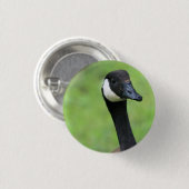 Was ist? button (Vorne & Hinten)