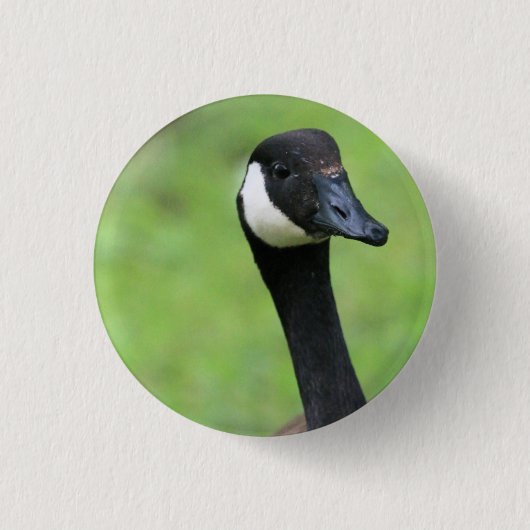 Was ist? button (Vorderseite)