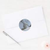 Was ist Cha Doin? Brown Anole Lizard Sticker (Umschlag)