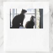 Was ist da draußen? Neugierige Katzen Kätzchen Fot Rechteckiger Aufkleber (Tasche)