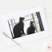 Was ist da draußen? Neugierige Katzen Kätzchen Fot Rechteckiger Aufkleber (Umschlag)
