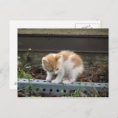 "Was ist da unten?" Postkarte (Vorne/Hinten)