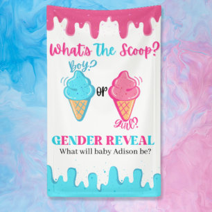 Was ist das Banner der "Scoop Ice Cream Gender Rev
