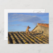 Was ist das da drüben? postkarte (Vorne/Hinten)