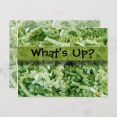 Was ist das Foto aus grünem, zerknittertem Papier? Postkarte (Vorne/Hinten)