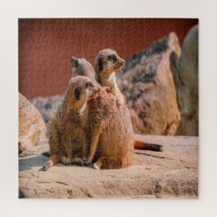 Was ist das für ein Meerkats Puzzle