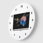 Was ist dein Circadianrhythmus? Große Wanduhr (Winkel)