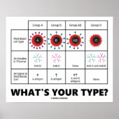 Was ist dein Typ? (Blutkörperchen) Poster (Vorne)