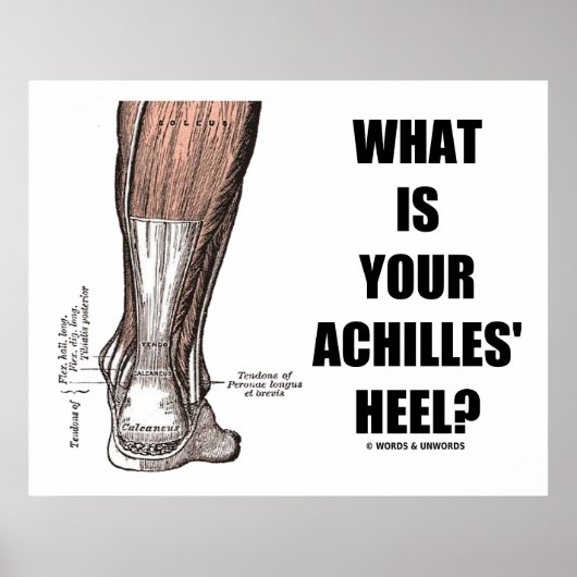 Was ist deine Achillesferse? (Heel Anatomy) Poster (Vorne)