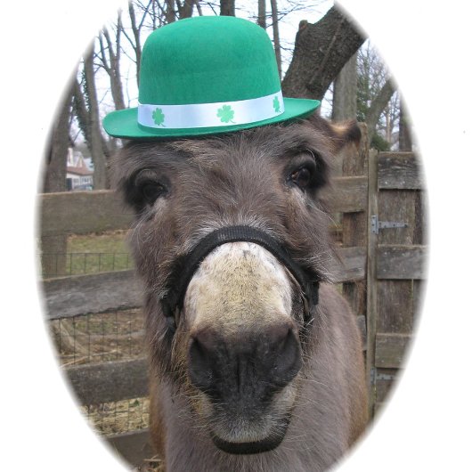 "Was ist der große Deal?" Geschenkpapier